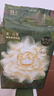 babycare金山茶花纸尿裤S58片(4-8kg)新生儿婴儿尿不湿超薄透气轻柔花苞裤 实拍图
