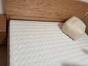 金橡树定制乳胶椰棕榈黄麻榻榻米定制床垫加硬舒脊垫 详询客服 实拍图