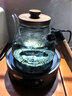 茗光煮茶壶电陶炉煮茶器蒸煮一体茶壶烧水煮茶炉养生壶2026新款 实拍图