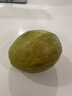 京鲜生 广东树熟软糯红心芭乐 净重2.5-3斤单果130g+番石榴源头直发包邮 实拍图
