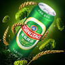 青岛啤酒（TsingTao）经典330ml*12罐整箱装 原麦汁浓度11.0°P 拉格啤酒 实拍图