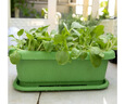 北蔬 种菜盆长方形超大加厚带托盘阳台蔬菜水果种植盆 大号种菜盆绿色 实拍图