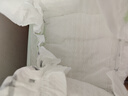 好奇（Huggies）小森林纸尿裤M50片(6-11kg)尿不湿心钻【透氧顶配更0痕】 实拍图