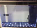 森森（SUNSUN）大型鱼缸底过滤水族箱客厅家用落地玻璃生态金鱼缸 超白款升级底滤 1米长42cm宽（黑白灰可选） 实拍图