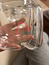 GLASSLOCK茶杯双层玻璃杯家用水杯咖啡杯耐高温泡茶杯办公室高硼硅450ml 实拍图