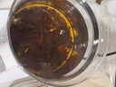 丽天承南京同仁堂鱼腥草茶泡水搭新鲜鱼腥草中材药干货折耳根养生茶100g 实拍图