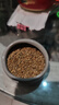 宠尚天鹦鹉鸟粮鸟食玄凤牡丹食物非饲料粮食益生菌氨维加纳利子1LB 实拍图
