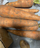 河南新鲜带泥胡萝卜农家水果萝卜应季早餐蔬菜红薯营养减脂食品 胡萝卜3斤净重 200g+/支 实拍图