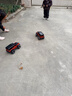 双鹰路虎正版授权越野遥控车男孩女孩汽车玩具生日礼物男生礼物 实拍图