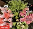 AB级混搭玫瑰花束云南基地直发鲜花组合七夕节送闺蜜女朋友礼物 5枝玫瑰+3朵百合+5枝康乃馨+随机草1束 实拍图