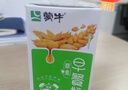 蒙牛早餐奶麦香味250ml*16盒 早餐伴侣燕麦醇香 送礼盒装新老包装交替 实拍图