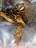 滇品客原味鹿茸菇脆云南特产即食菌菇类蔬菜干零食休闲食品小吃52g 实拍图