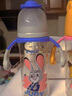 贝亲（Pigeon）迪士尼疯狂动物城PPSU双把手彩绘奶瓶330mL L号 6月+ 探案朱迪 实拍图