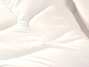 富安娜 舒暖 纤维被子冬季被芯 双人冬厚被 约6.3斤 203*229cm 白色 实拍图