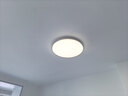 飞利浦（PHILIPS）全光谱LED三防灯吸顶超薄天花灯IP40防潮防尘防蚊防虫简约节能灯48W三档调色尺寸420mm 实拍图