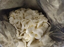 FINUTE趣莱福虾片蒜味80g*2+蟹味80g*1韩国进口薯片虾条网红膨化零食 实拍图