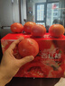 京鲜生 海阳普罗旺斯净重4.5斤单果180g起礼盒装 沙瓤西红柿 源头直发 实拍图