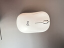 罗技（Logitech）M240 无线鼠标 蓝牙鼠标 办公鼠标 简约便携 白色 实拍图