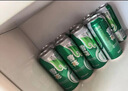 雪花清爽啤酒原汁麦500ml*12听/24听 官方正品  清凉一夏 【到手12罐】雪花清爽500ML*11罐加赠1罐 实拍图