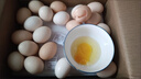 京鲜生富硒鲜鸡蛋30枚 3斤 源头直发 实拍图