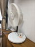 艾美特（AIRMATE）【轻语系列】电风扇安静卧室一级能效落地扇轻音家用直流变频大风力台立式节能遥控全屋驱蚊循环扇 实拍图