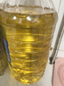 金龙鱼 食用油 葵花籽清香型食用植物调和油5L*4 实拍图