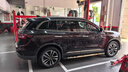 京东养车 全车打蜡服务（含洗车、含蜡） 5座SUV 实拍图