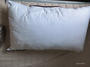 水星家纺枕头枕芯酒店枕头护颈枕头芯家用单个纯棉抗菌可水洗高枕48x74cm 实拍图