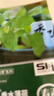 寿禾香水薄荷种子可食用四季种植盆栽花草种籽 埋香香水薄荷1g约800粒 实拍图