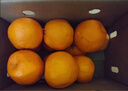 【整箱】爱媛果冻橙约2.5kg（称重退差） 实拍图