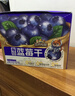 三只松鼠每日蓝莓干500g 蜜饯果干酸甜休闲零食下午茶孕妇儿童健康零食 实拍图
