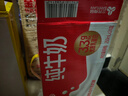 三元纯牛奶250ml*24盒北京限定（原特品） 整箱送礼 新老包装随机发货 实拍图