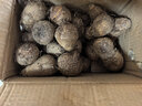 农多鲜云南小芋头新鲜现挖毛芋头香芋头应季蔬菜包邮产地直发 云南小芋头净重 3斤中果 实拍图