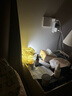 督牌遥控充电小夜灯台灯喂奶灯触摸夜灯伴睡眠氛围灯宿舍灯卧室床头灯 实拍图