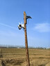 镭威视4g太阳能摄像头终身免流量AI室外免插电无电无网手机远程户外监控器家用360度无死角高清全景夜视 实拍图