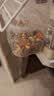开元虎皮鹦鹉专用无壳粮鹦鹉饲料混合粮种子谷子剥壳无壳鸟粮食鸡星人 实拍图