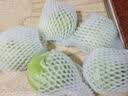 言片光新鲜苤蓝 云南青芥兰 芥菜头 农家自种现砍现发时令生鲜蔬菜 净重2斤装【鲜嫩脆甜】现砍现发 实拍图