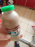 李子园【成毅代言】甜牛奶饮品低脂低糖朱古力奶225ml*20瓶整箱营养早餐 实拍图