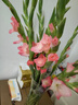 粉红色剑兰节节高鲜花年宵花广州发春节装饰情人节礼物长65-70cm 粉色剑兰8支 实拍图