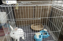憨憨宠兔子笼 兔笼加粗加密家用兔子专用笼子可折叠兔笼子特大号养殖笼 600# 白色可折叠加密双层兔子笼 实拍图