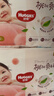 好奇（Huggies）铂金装小桃裤纸尿裤XL96片(12-17kg)加大号尿不湿透【透爽散热】 实拍图