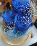 依雯然（Ivenran）情人节520送女友生日礼物送女生永生花礼盒结婚花束蓝色妖姬 实拍图