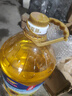 金龙鱼 食用油 葵花籽清香型调和油5L （新老包装随机发货） 实拍图