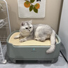 布鲁雅尔（Blueair）宠物空气净化器消毒机除猫毛异味过敏原甲醛细菌布噜噜PetAir Pro家用电器 实拍图