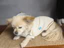 力狼狗粮 全价成犬粮 博美泰迪金毛阿拉斯加边牧大中小犬型粮 【53%肉含量-护胃健骨】鲜鸭肉梨40斤 实拍图
