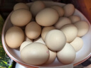温氏供港DHA鲜鸡蛋30枚/3斤/礼盒装 儿童孕妇 优质高营养 送礼佳品 实拍图