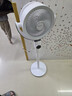 艾美特（AIRMATE）【小暴风PRO】空气循环扇家用大风力摇头电风扇卧室安静轻音小风扇桌面台式节能落地扇电扇 X231 实拍图