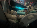 工匠伯伯儿童安全座椅汽车用0-6-12岁i-Size认证婴儿宝宝车载通风加热 新国标 【Luna MAX+智能3.0】曼波绿 实拍图