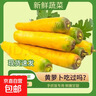 【真便宜】新疆冰糖心金黄胡萝卜水果萝卜新鲜蔬菜手抓饭直播间 黄胡萝卜9斤 净重 实拍图