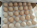京鲜生【每日鲜蛋】无抗谷物鸡蛋30枚 3.18斤 当日产蛋 当日发货 实拍图